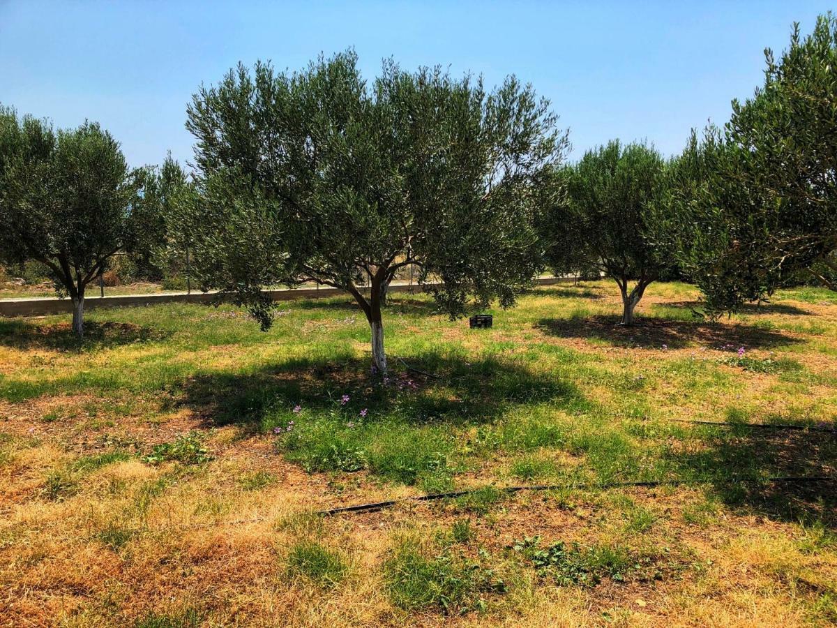 Villa The Hillhouse Near Alexandroupolis Esterno foto