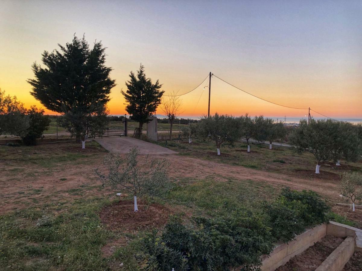 Villa The Hillhouse Near Alexandroupolis Esterno foto
